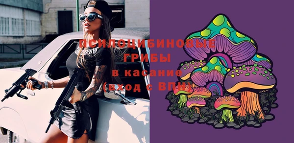 стаф Алексеевка