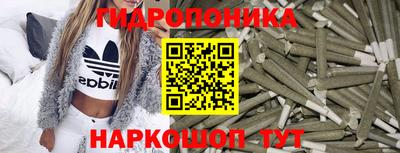 a pvp Абакан